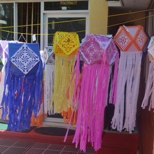 Pristine Vesak Celebrations and Dansela 2017